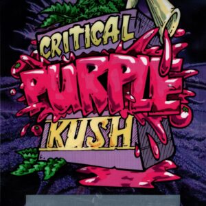 GENERIC CRITICAL PURLE KUSH