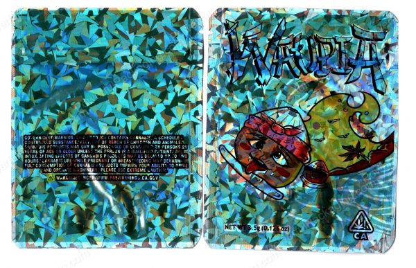 Waupia Generic Holographic Flower Packaging 3.5 Holographic Mylar Bag *Empty Bags*