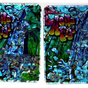 Agua Fiji Holographic Generic Flower Packaging 3.5 Mylar Bag *Empty Bags* (#RG)