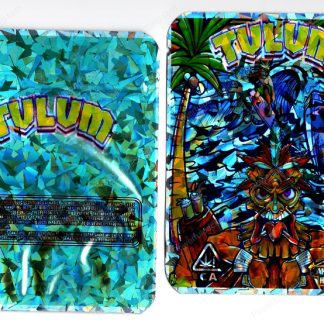Tulum Holographic Generic Flower Packaging 3.5 Mylar Bag *Empty Bags* (#RG)
