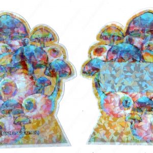 Mushroom Eye-balls Generic Holographic 3D Mylar Shaped Window Bag 3.5g Packaging *Empty Bags* (CAsupply-X1)