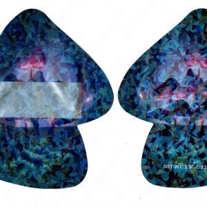 Mushroom Shaped Generic Holographic 3D Mylar Window Bag 3.5g Packaging *Empty Bags* (CAsupply-X1)