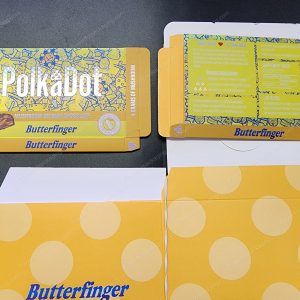 Large PolkaDot Magic Mushroom Belgain Chocolate : Butterfinger 4g 10-Pack with Master Case and Sleeve (5.5x3.5in) *Empty Box* (CaSupply)