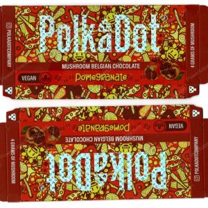 PolkaDot Magic Mushroom Belgain Chocolate : Pomegranate V2 Vegan 4g 10-Pack with Master Case (5x2.5in) *Empty Box* (CaSupply)