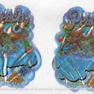 Peach Raspados Bag 3.5 Mylar Bag *Empty Bags* (#A5) (Copy) (Copy)